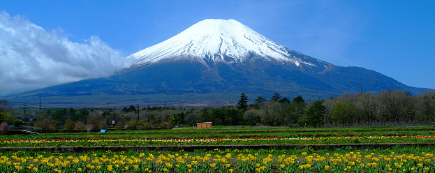 富士山銘柄